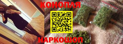 сатива Лесосибирск