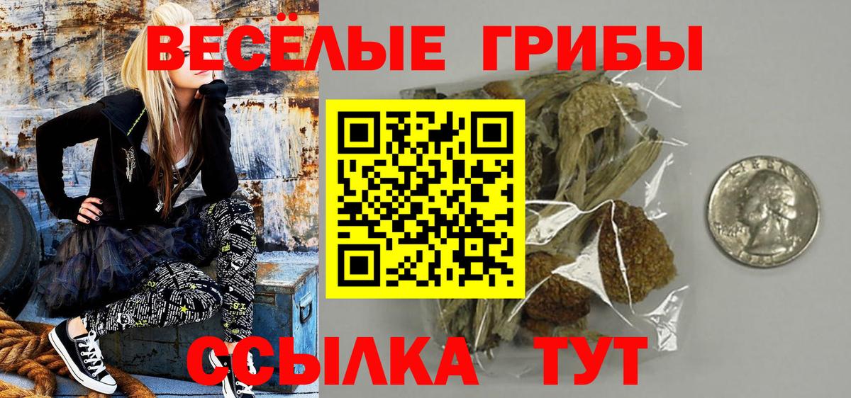 Псилоцибиновые грибы Magic Shrooms Елизово