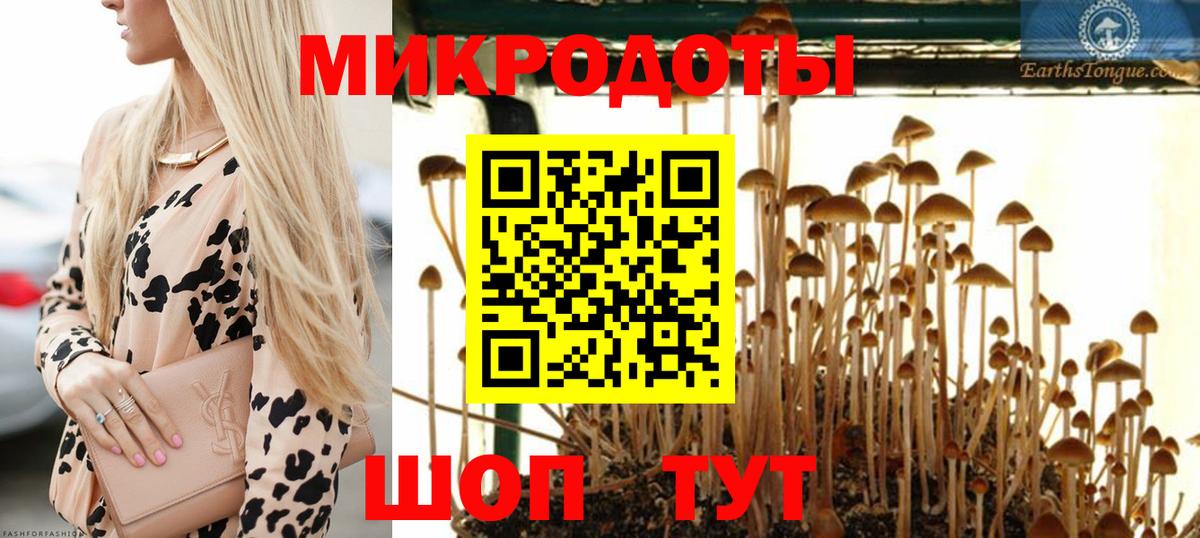 Псилоцибиновые грибы мицелий  Вход с VPN  Галлюциногенные грибы мицелий  Елизово 